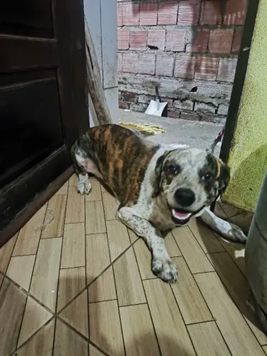 Doação 1 ano e 6 meses