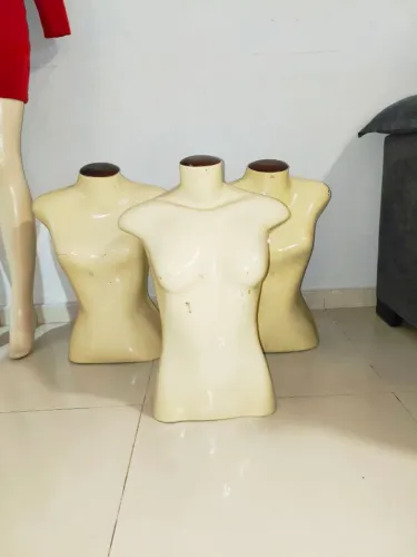 Manequim Meio Corpo Usado