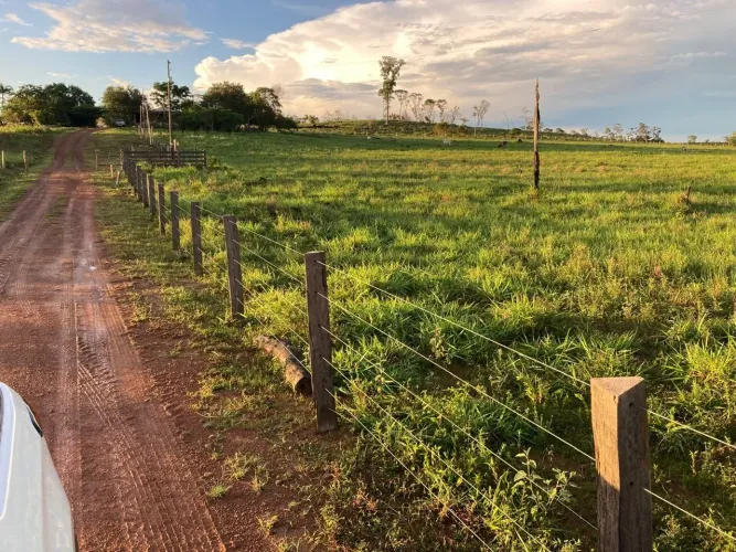 FAZENDA À VENDA ? IRACEMA/RR<br>