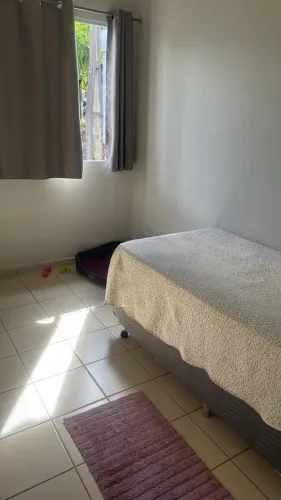 Cama Box 