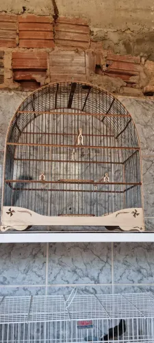 Gaiola de luxo malha fina número 6