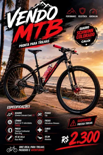 Bicicleta aro 29 Bike MTB