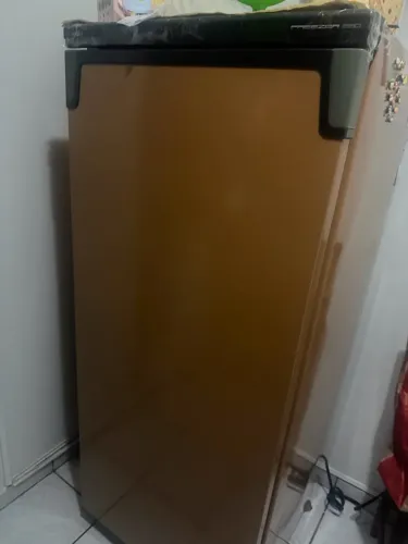 Freezer vertical