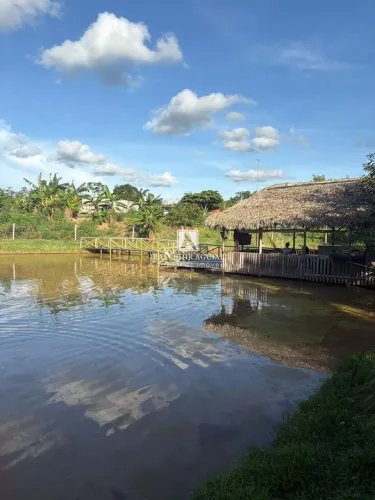 Vendo Chacara de porteira fechada - Ramal do Mutum - Rio Branco - AC
