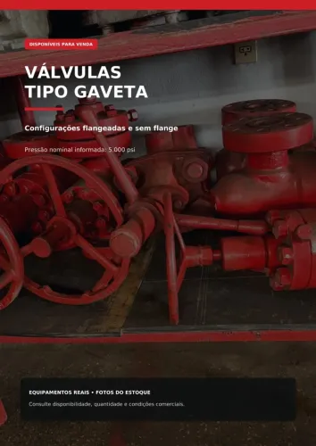 Lote de Válvulas Gaveta 5.000 PSI ? Com e Sem Flange