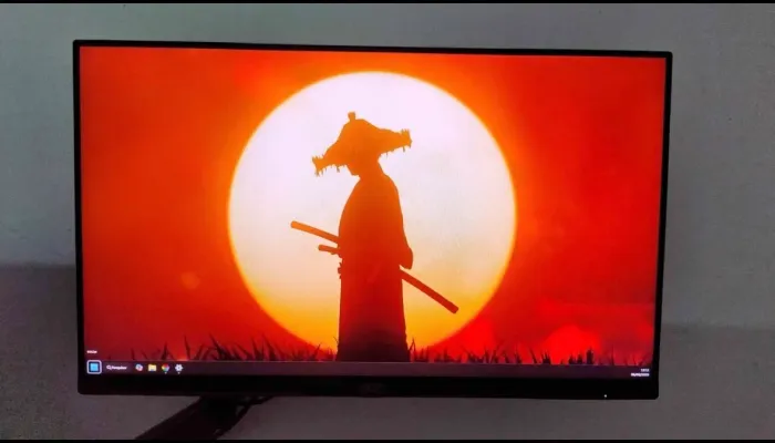 Monitor 24 polegadas