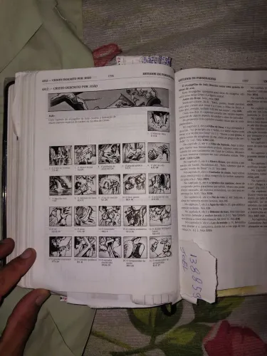 Biblia Thompson media avenda
