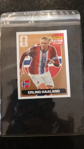 Haaland (Bronze)