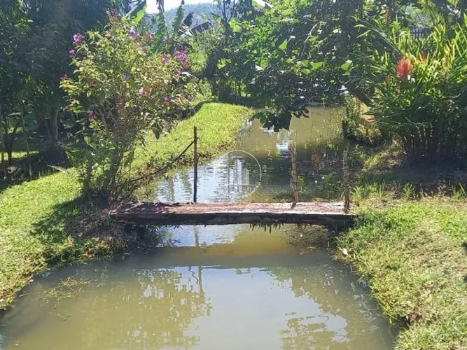Sítio com nascente de água em Fazendinha de Dentro- Biguaçu
