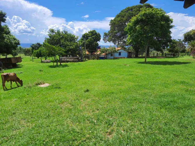 Venda Commercial / Agricultural Santa Bárbara MG