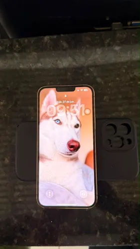 iPhone 13 Pro Max em perfeito estado!