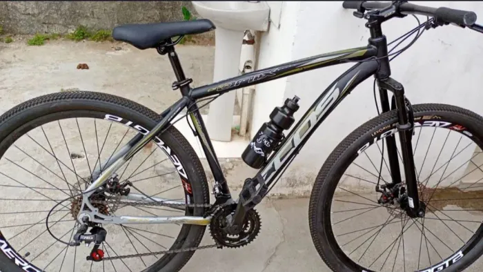 Bicicleta ecos aro 29 