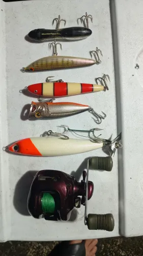 Carretilha Shimano