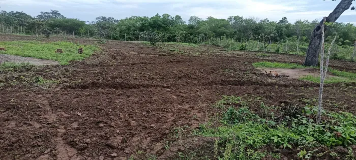 Terreno