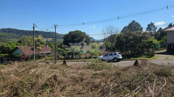 AMPLO TERRENO NA LINHA BRASIL