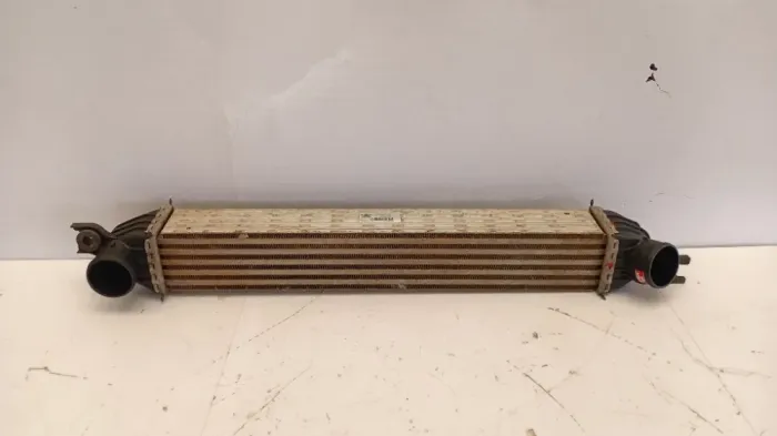 Intercooler Mini Cooper Countryman 1.6 Thp 2013