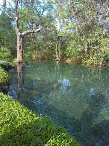 Área Rural 5.163 ha em Januária/MG - Oportunidade de Investimento