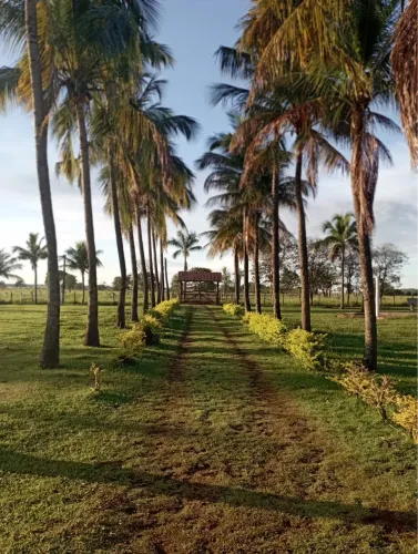 Fazenda/ Haras 53,84 ha dupla aptidão 
