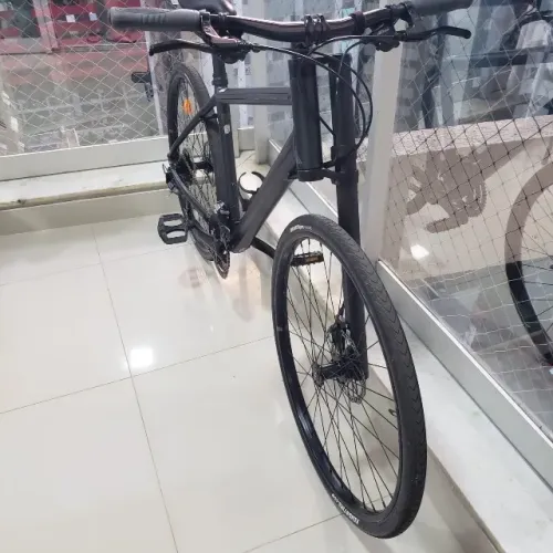 Cannondale Bad Boy