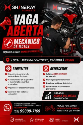 Mecanico de Motocicleta 