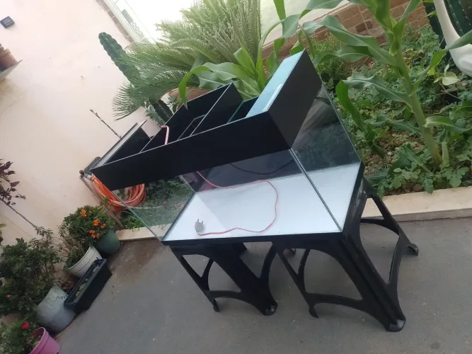 Aquário