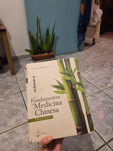 Livro os fundamentos da medicina chinesa