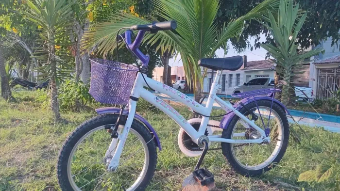 Bicicleta infantil 