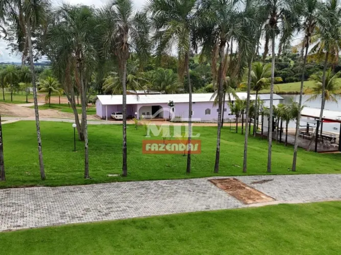 Fazenda 15.23 alqueires ( 73.77 hectares) Neropolis - GO
