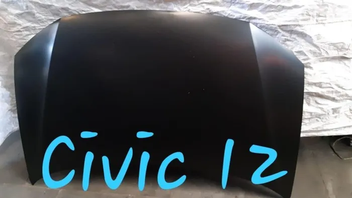 Capo civic 2012