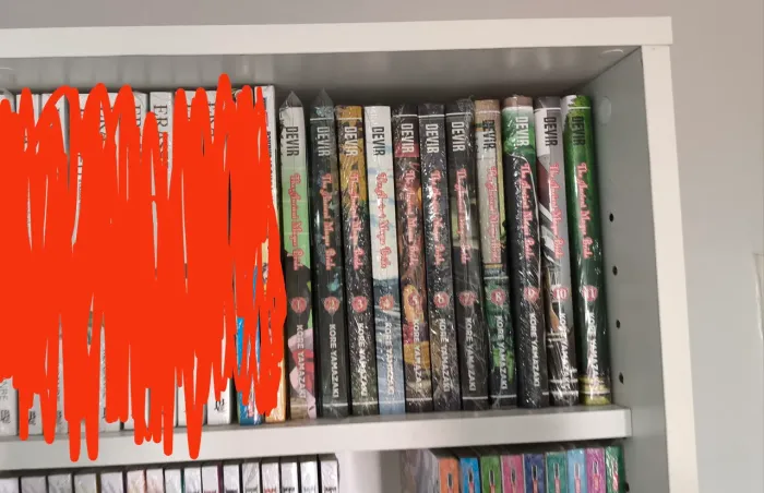 Mangá The Ancient Magus Bride 1 ao 11