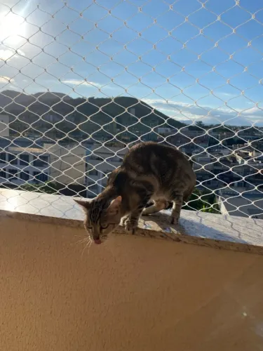 Rede de proteção / tela mosquiteiro / serviços de faz tudo