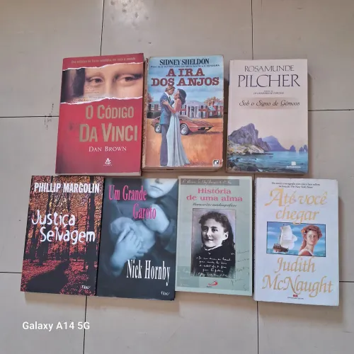 Livros de romance drama aventura ,o código da Vinci,a ira dos anjos, um grande garoto