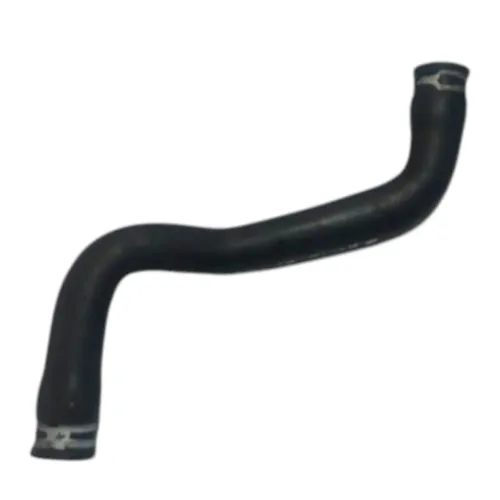 Mangueira Superior Radiador Renault Senic 2001 2002
