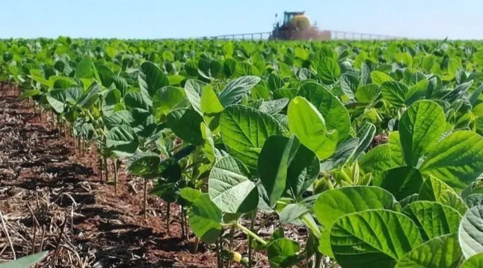 FAZENDA COM 550HECTARES PRA HF, BEM LOCALIZADA!!