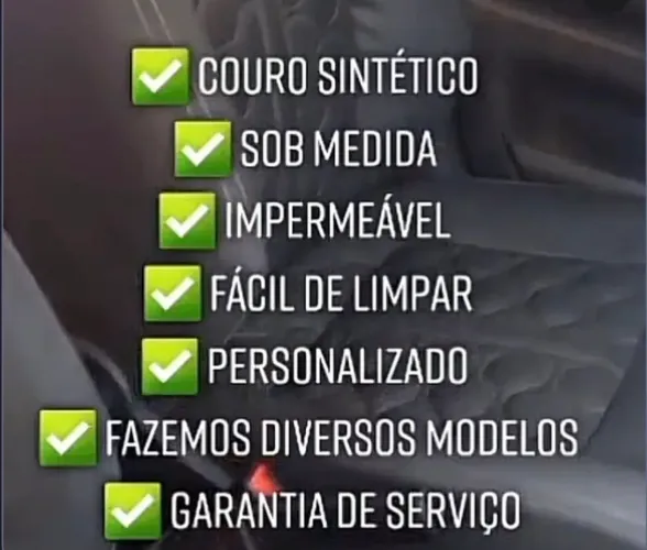Promoção! Capa para banco automotiva.