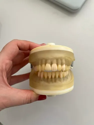 Vende-se manequim periodontia Pronew 