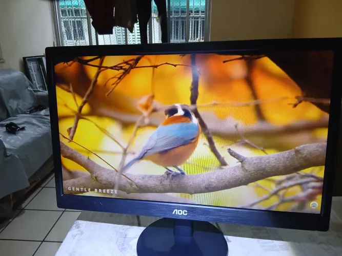 Monitor Aoc 20 polegadas DVI e Vga