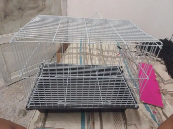 Gaiola média