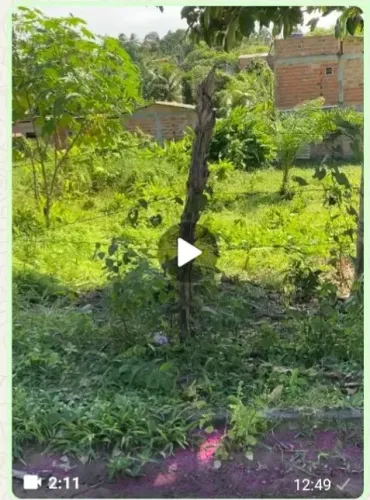 Vendo terreno ilha mar grande ba