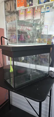 terrario ou aquario os dois por apenas 100,00