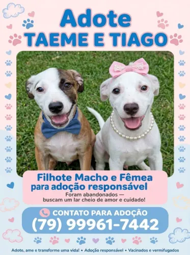 IRMÃOS DOG