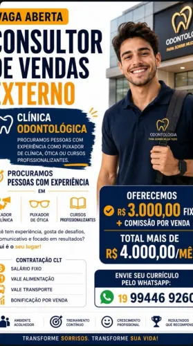 Vendedor Externo