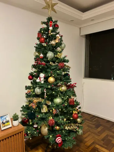 Vendo árvore de Natal com acessórios
