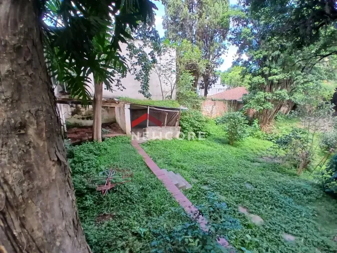 Lote em Maria Amália Lopes Azevedo - Vila Albertina - São Paulo/SP