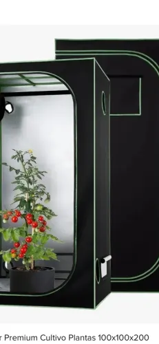 Grow/Estufa para tomates