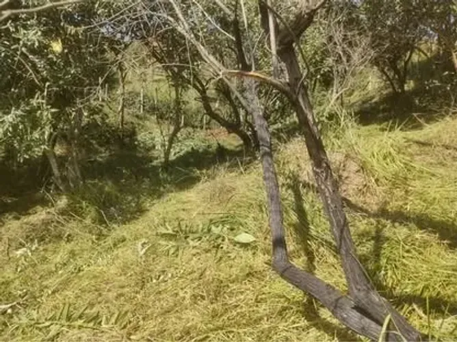 Terreno a venda em Campo Limpo  Paulista