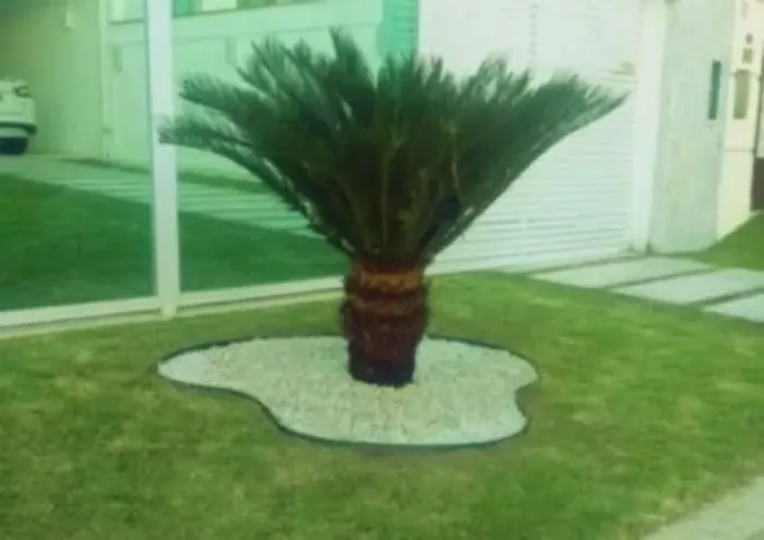 Serviço de Jardinagem 
