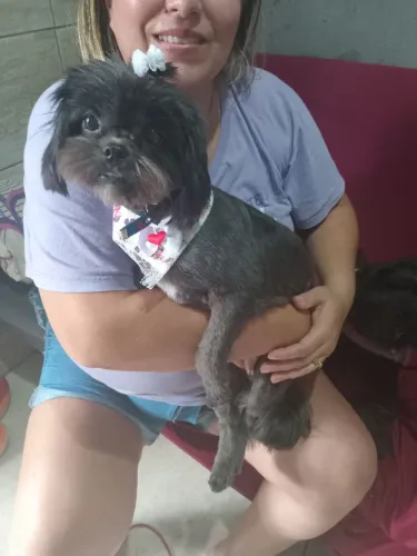 Cuido de pet e crianças e afazeres diversos da casa