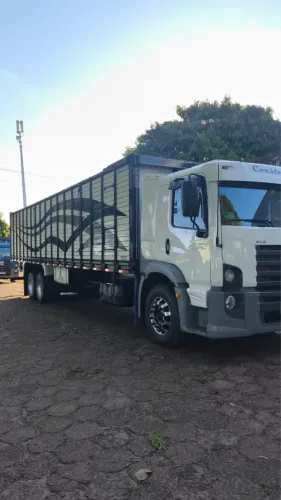 Caminhao Volkswagen 24250 com Boiadeira Zera ( sem uso )