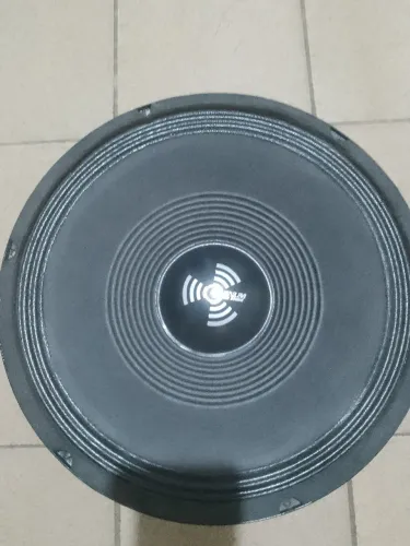 Alto Falante Woofer Magnum 12 Polegada 